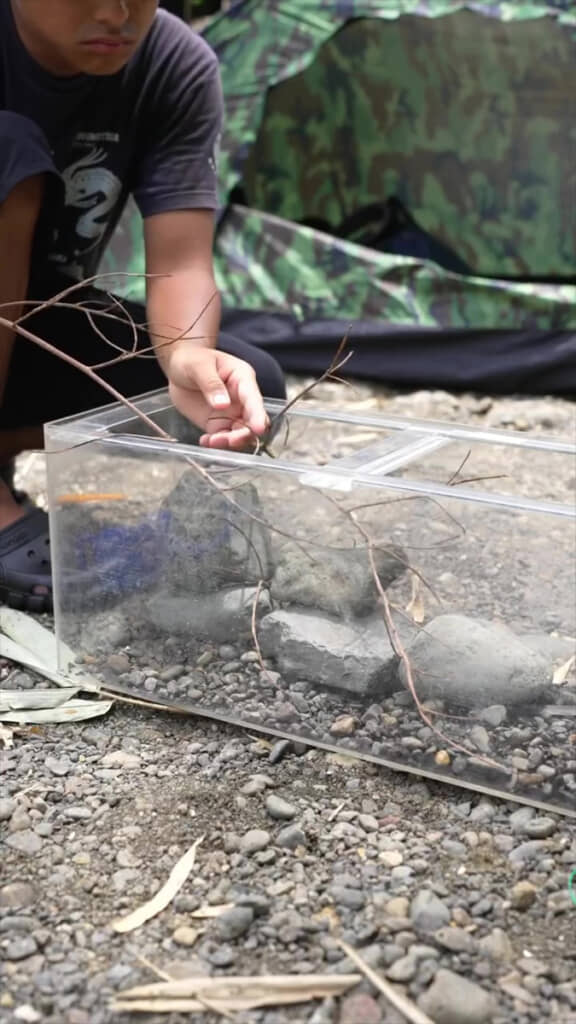 飾りを慎重に設置