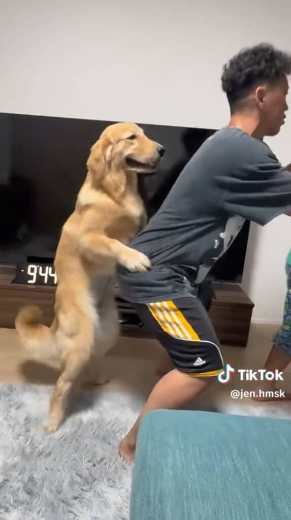 パパさんと同じ姿勢です