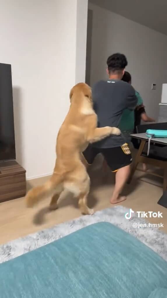 人間のような姿