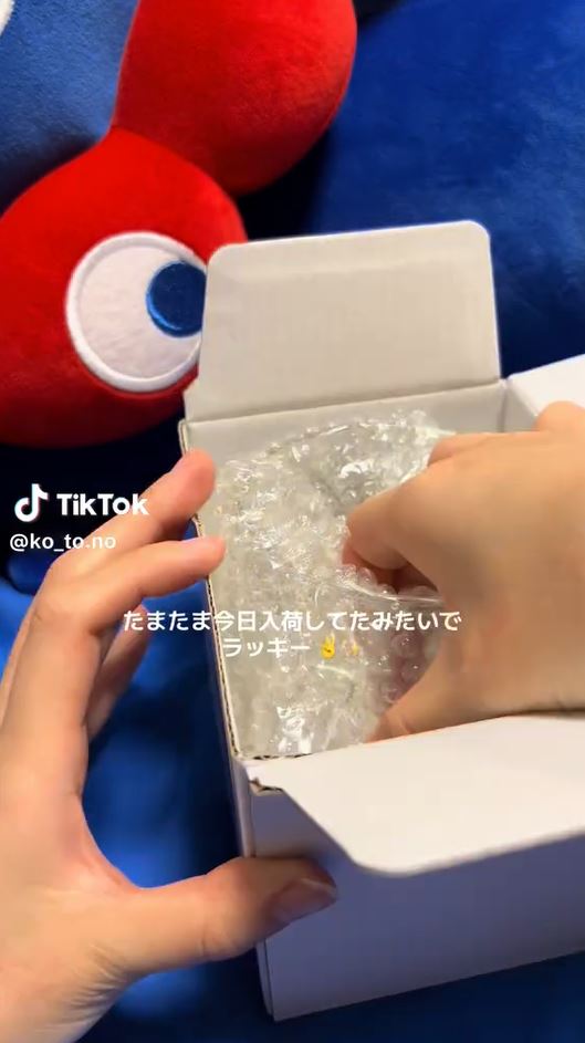 しっかり緩衝材で包まれている