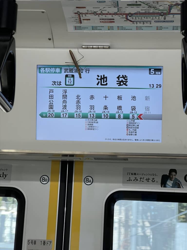 カ、カマキリいる！