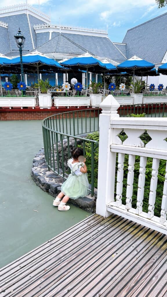 ずっと見ています