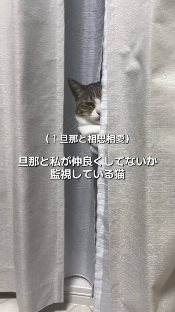 カーテンの隙間から感じる視線