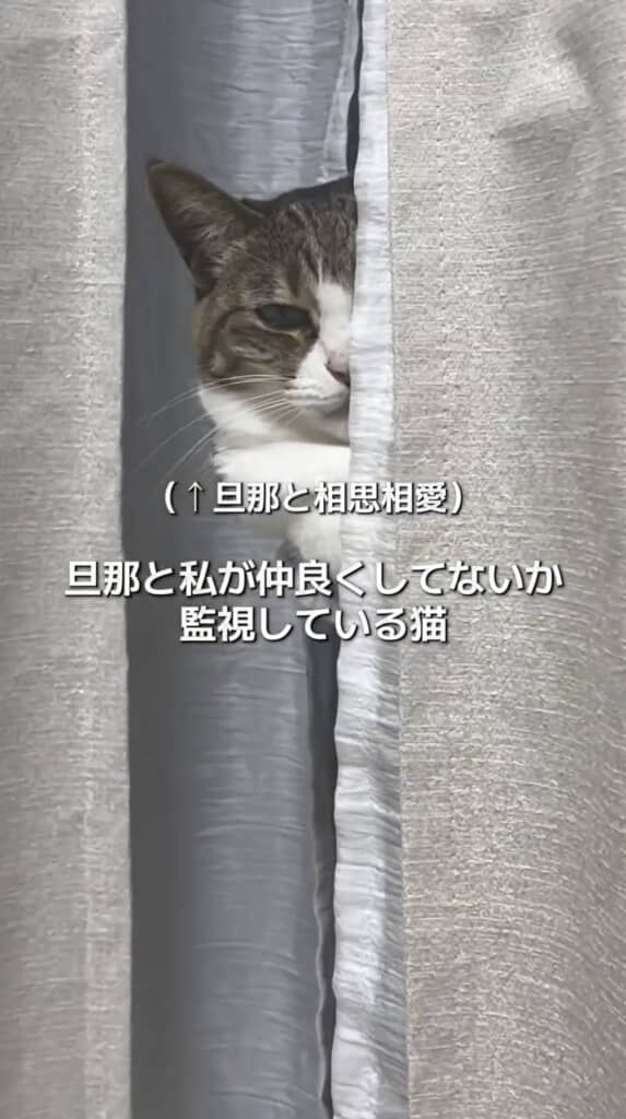 めっちゃ見てる……！