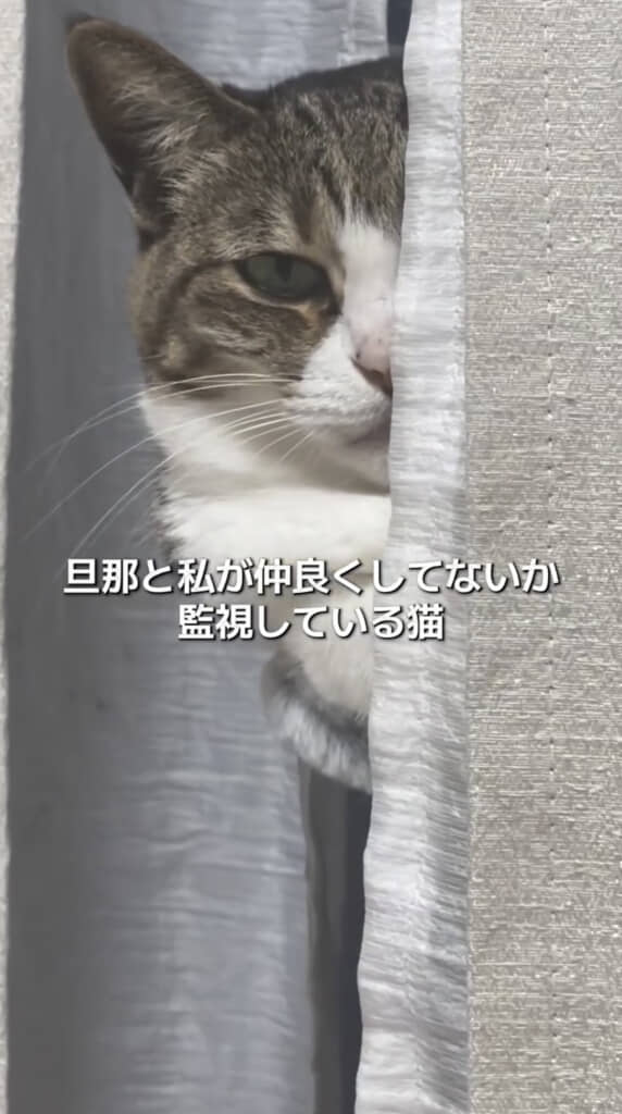 真剣な目をしています