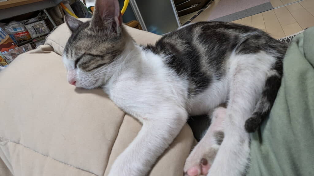 もうすぐ2キロ！