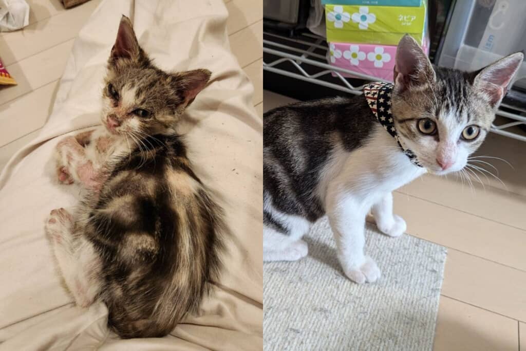 全然違いますね