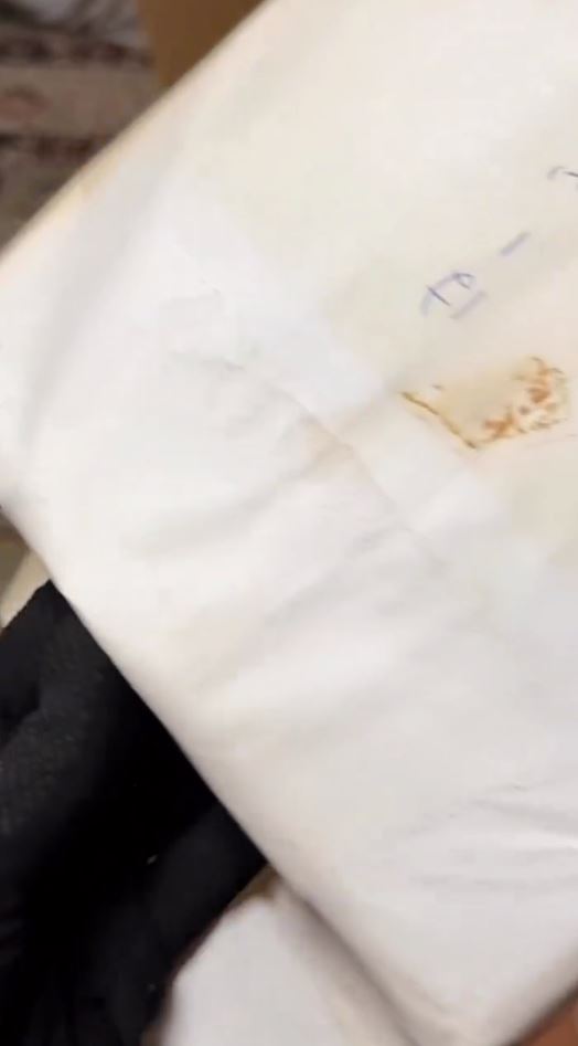 中身を出してみると……？