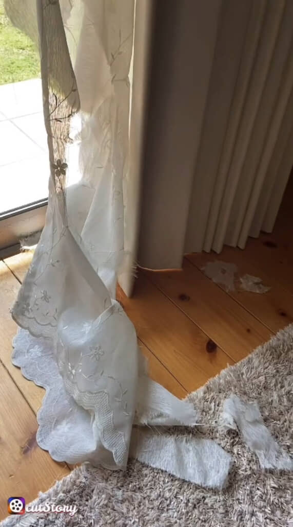 テンちゃんはビリビリになったカーテンの方を見ようとしません