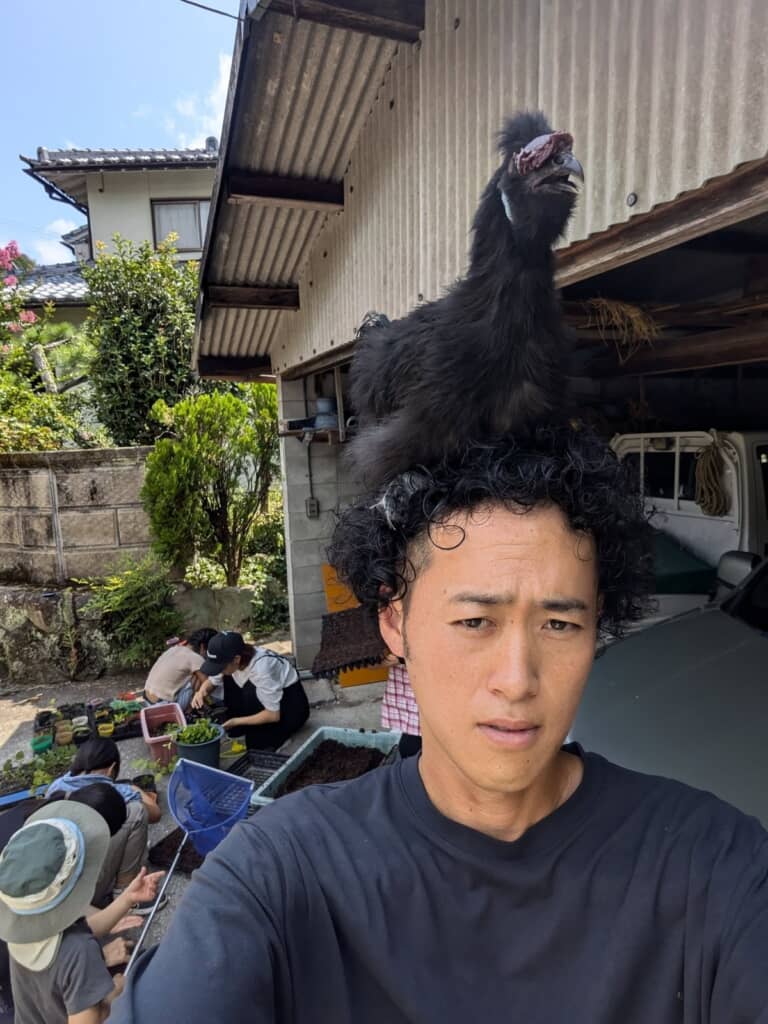 頭に乗せた烏骨鶏でした