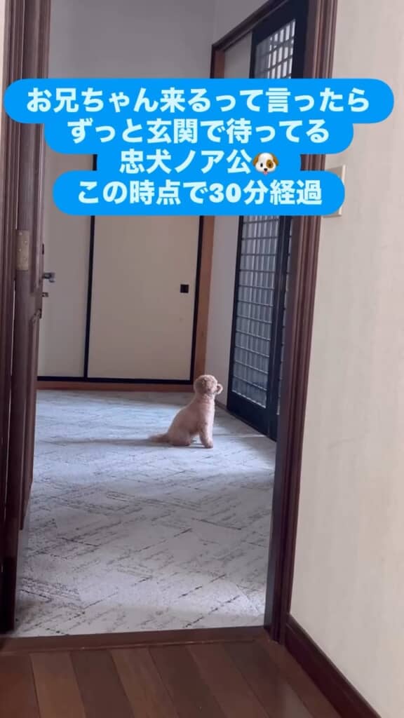 お兄ちゃんまだかな～と待ち続けて約30分