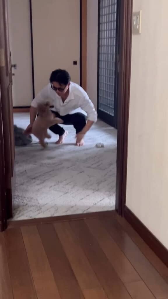 やっと会えたよお兄ちゃん！