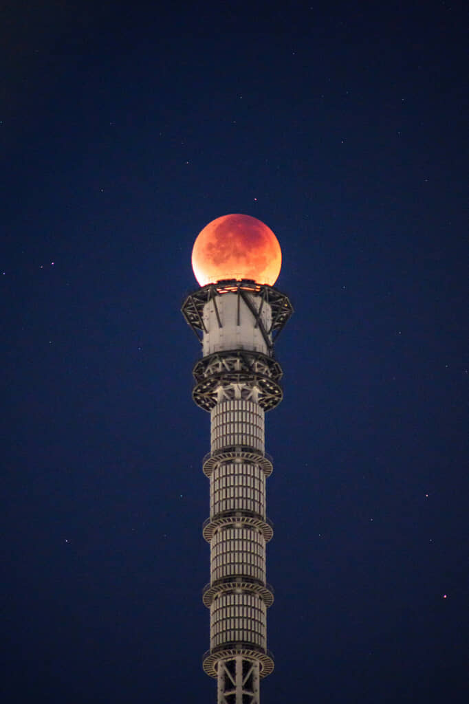 魔法の杖のようだ……！