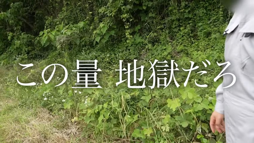 50年以上放置されていて草木が伸び放題な山