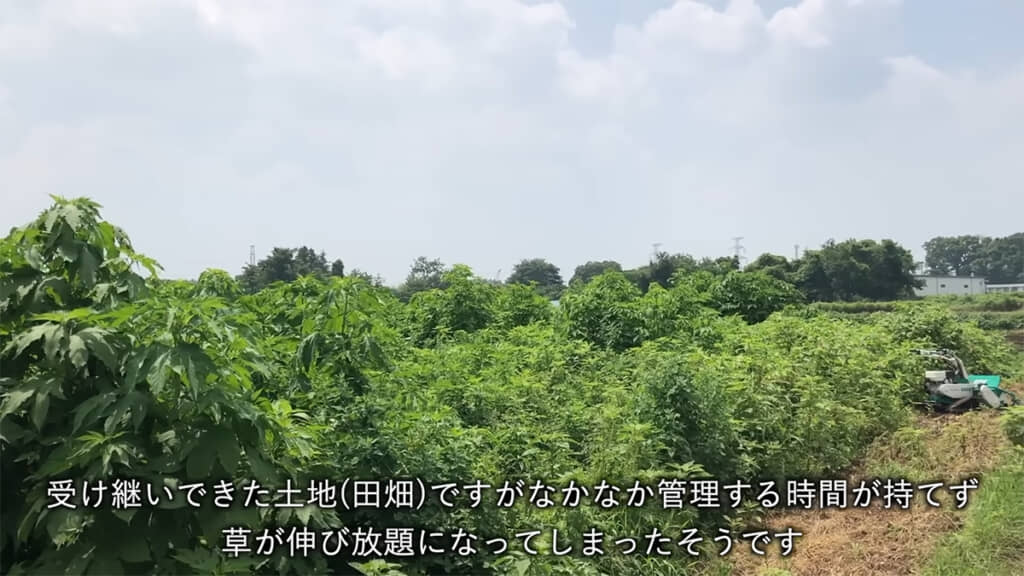 放置され、草まみれになってしまった畑の草刈りをします