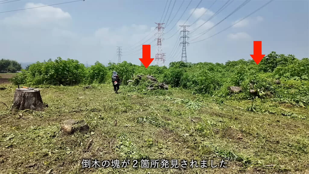 さらに倒木の塊を発見