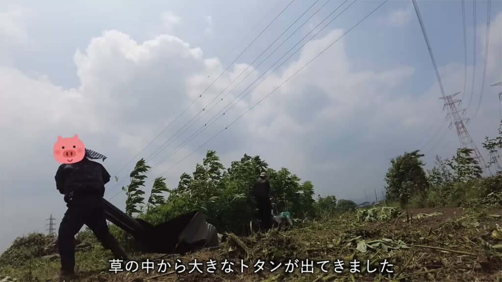 大きなトタンも出てきました