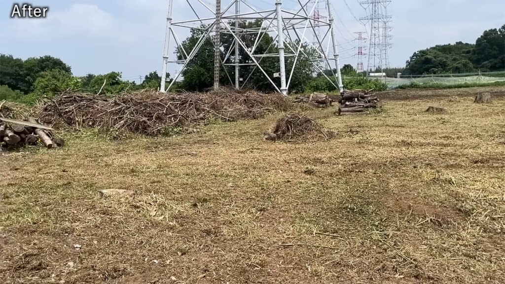 すっきりさっぱり、見違えるような美しさになりました
