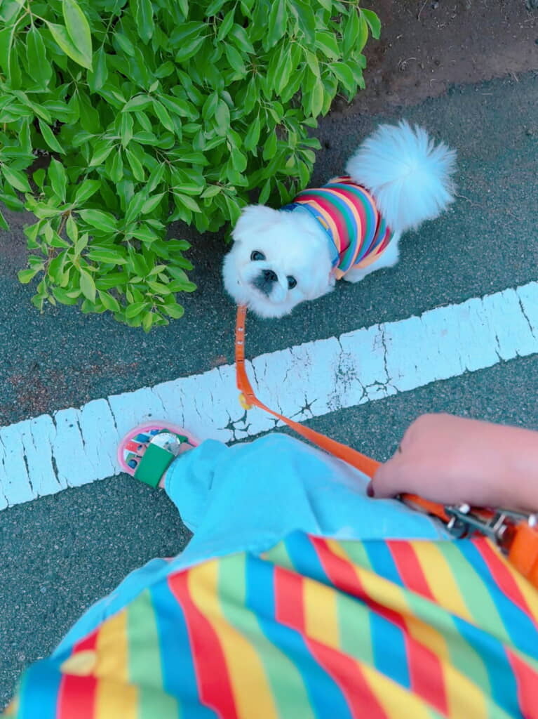 まさかのペアルック！