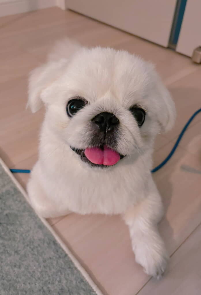 ニコニコかわいい～！