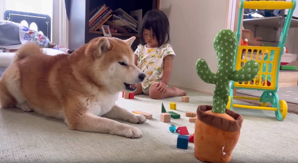 次はボリュームアップ！