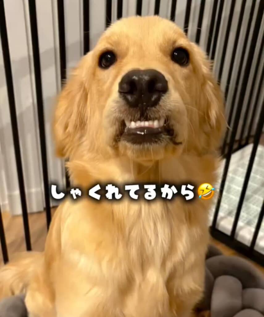 理由は口元が“しゃくれ”ていたから