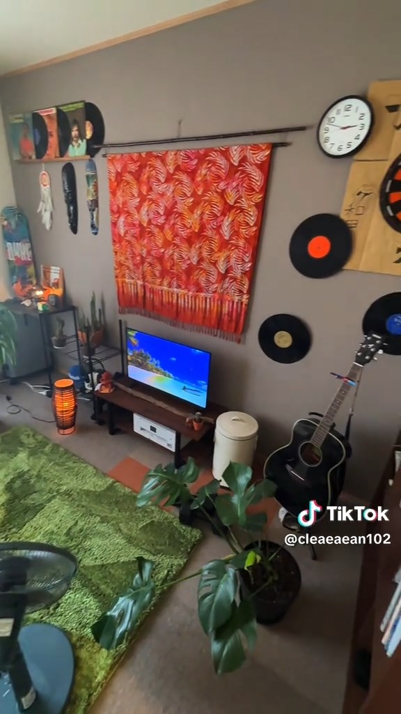 テレビにも南国の景色