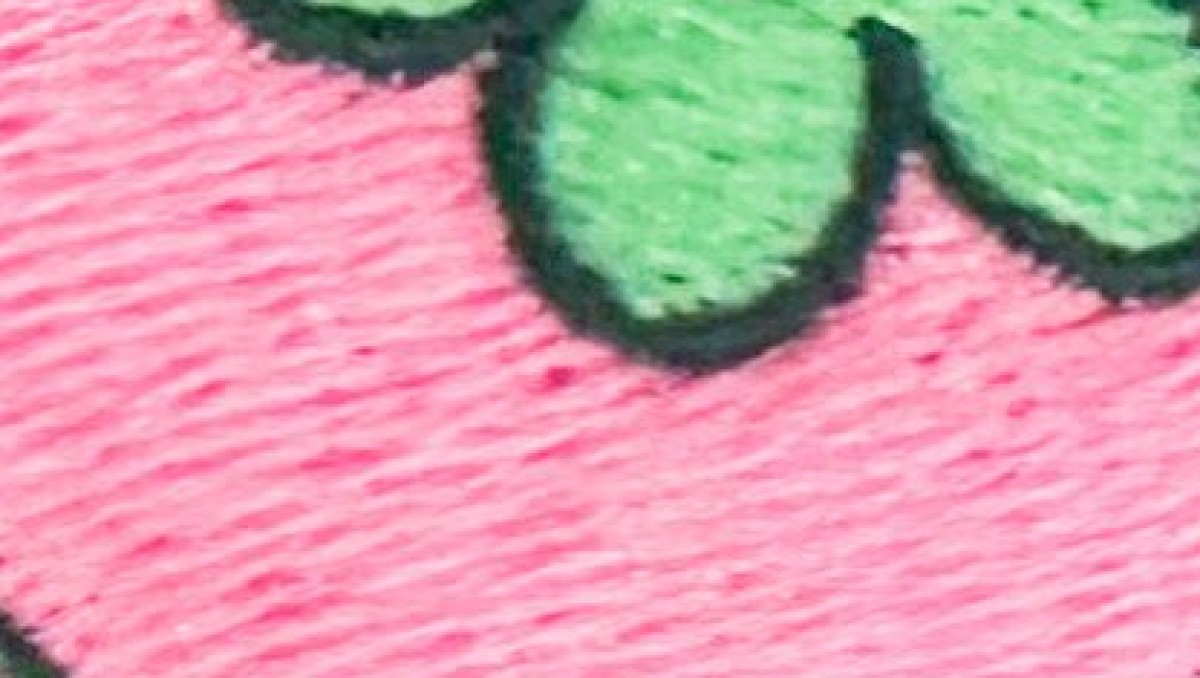 息子「ママ今日、死んだ柿ついてるね」→Tシャツを見ると……　平成女児に刺さる“まさかのデザイン”が280万表示「召された感はありますねw」（1/2） | 女性 ねとらぼ