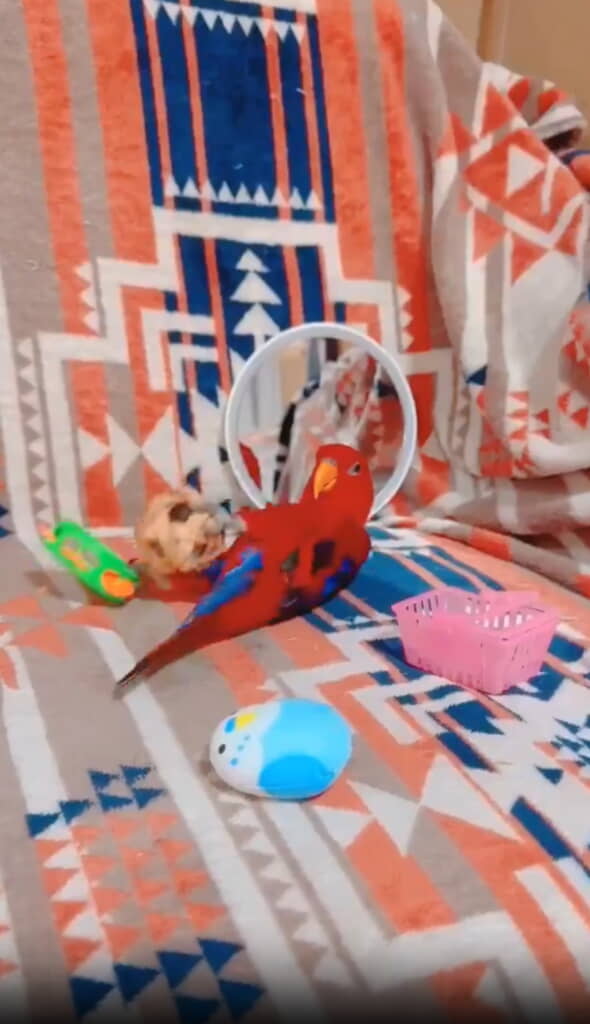 ソファでゴロゴロ