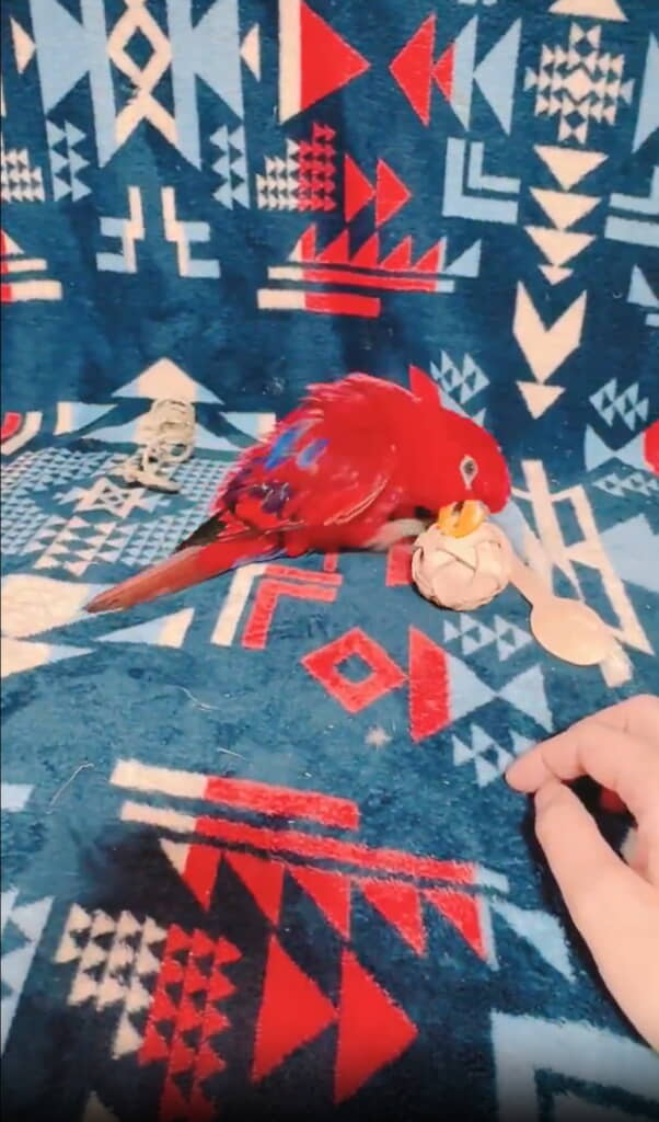 別日のひーちゃん