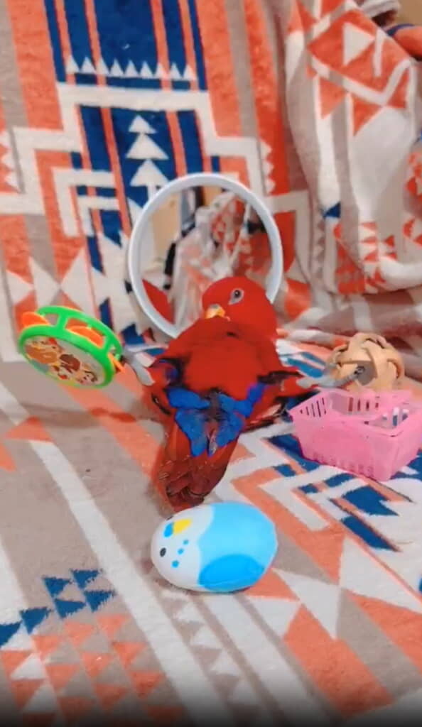 開脚まで……！