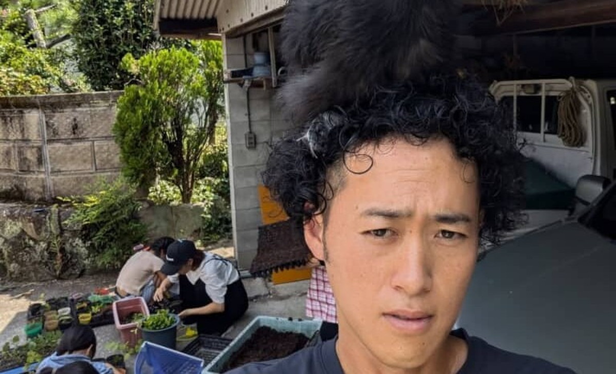 「なんて立派なリーゼントなの！？」と思ったら……　電車で見ちゃダメな“秘密”に「しびれました」「一体化してるやんww」（1/3） | 動物 ねとらぼ