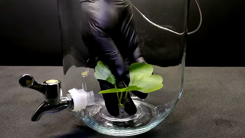 ディスペンサーの底に貼り付けたフェイクグリーン