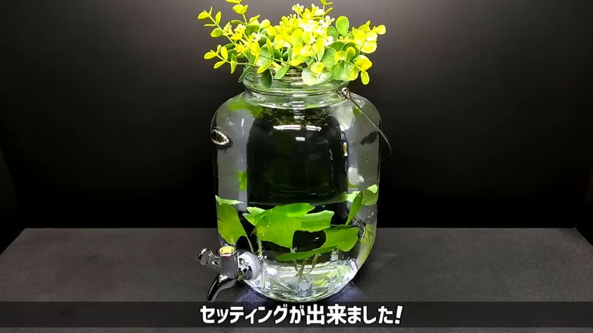 グリーンリングのフタが付いたディスペンサー