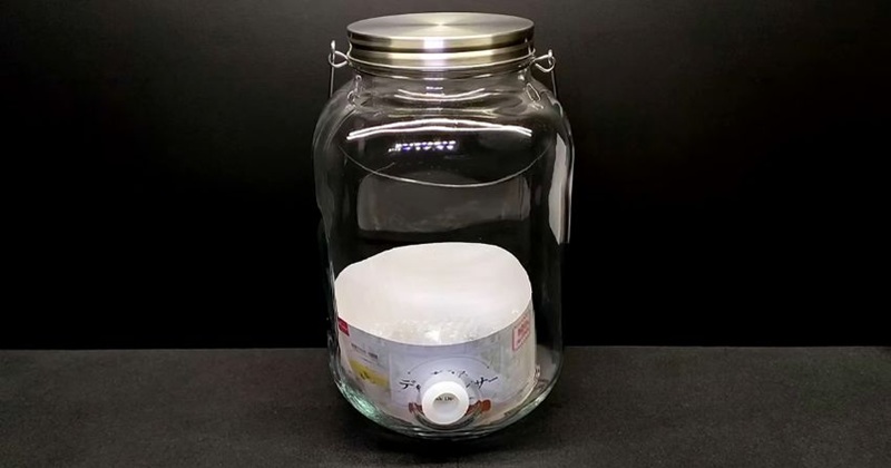 ダイソーのドリンクディスペンサーに、熱帯魚を入れると……　目からウロコな“大発見”に「コレは素晴らしい」「やってみよう」（1/3） | その他生き物 ねとらぼ
