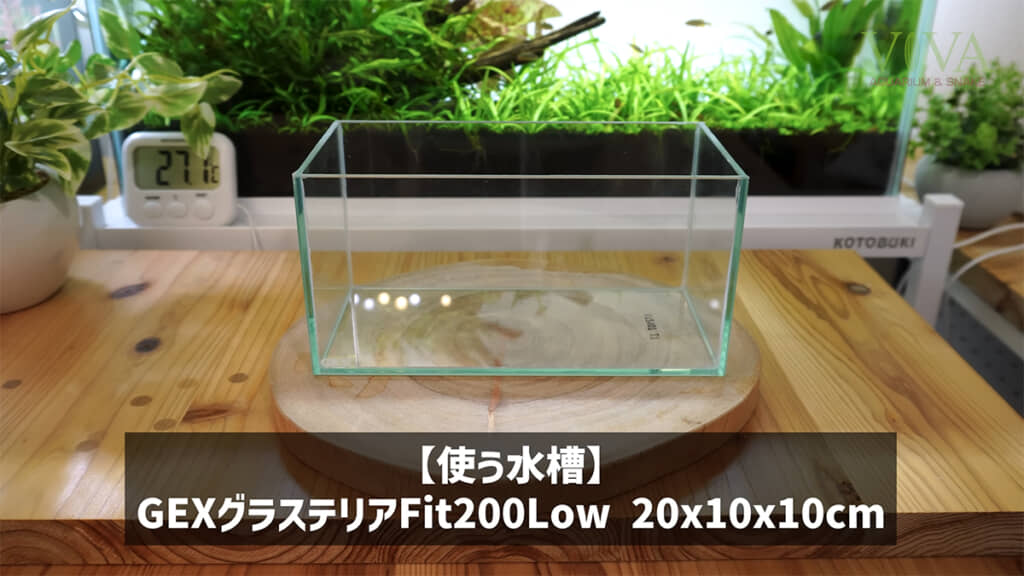 超小型水槽にレイアウトをしていきます