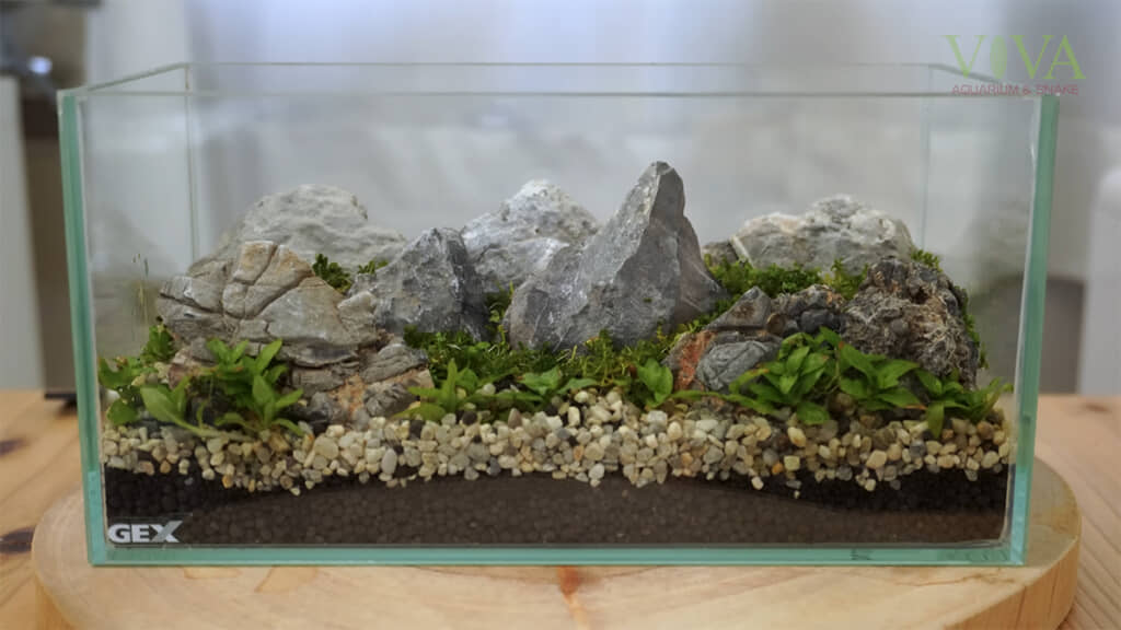 まだしっくりこないようです