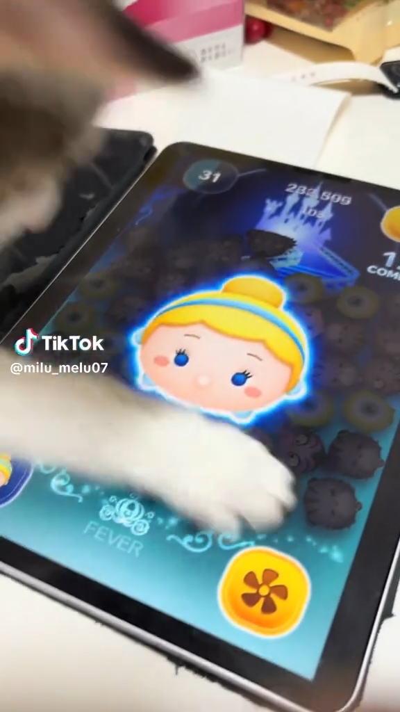 スッと現れるメルくん