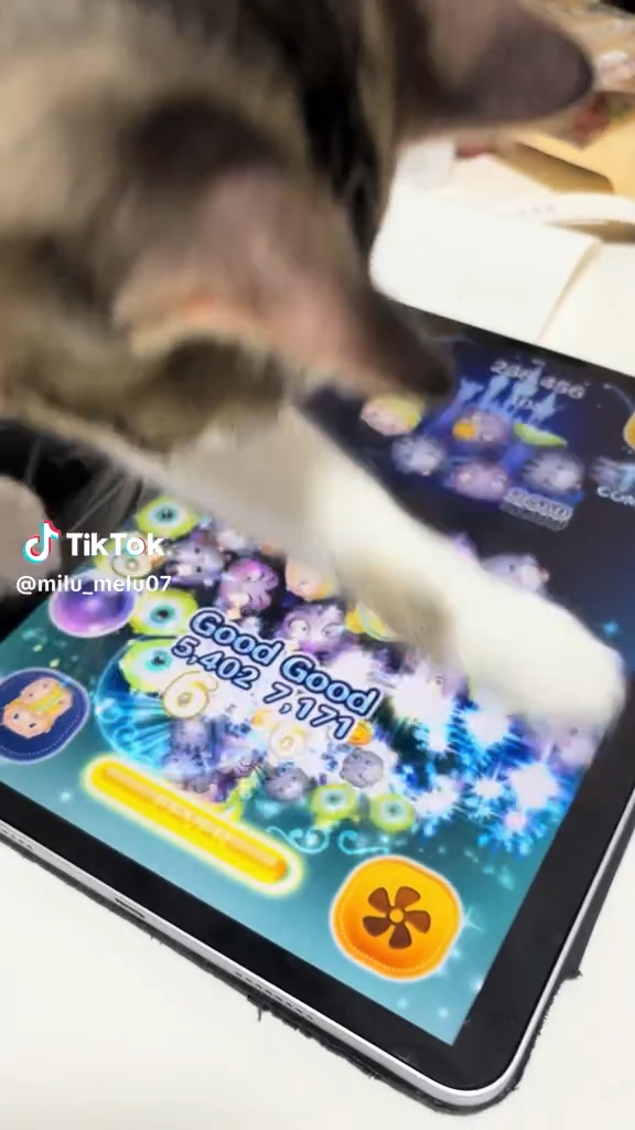 両前足を交互に繰り出す