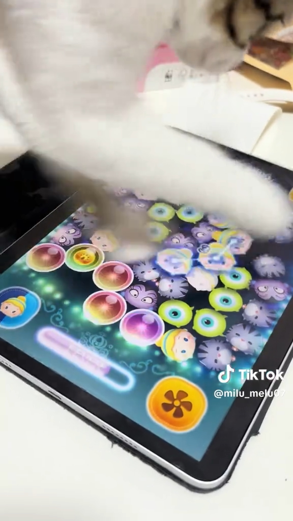 見事にチェーンを決めていく