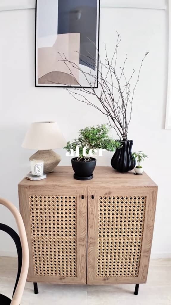 落ち着きある観葉植物