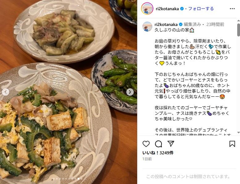 田中律子の山の家での暮らし