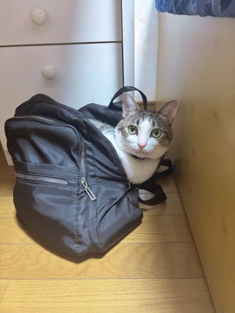 「いつでも行けるッス！」
