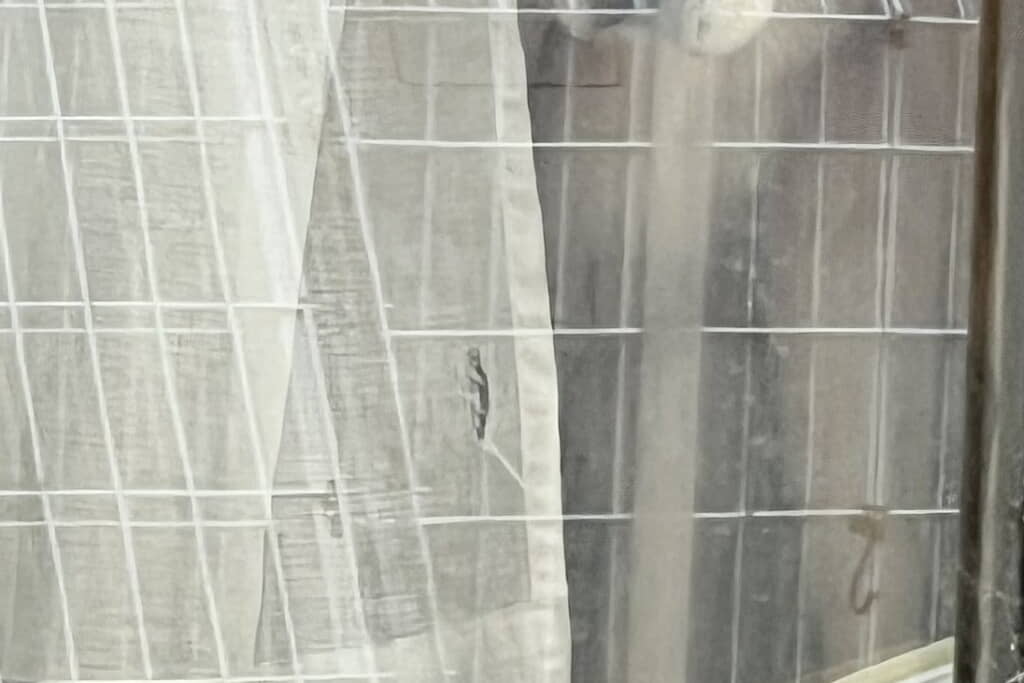 ふと振り返ったら……