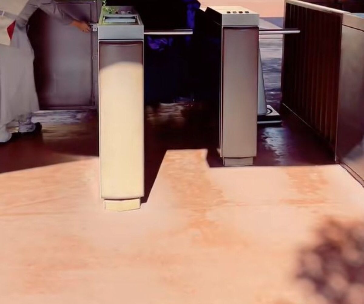 ディズニーへ行くも……　ゲートを通れなかった“まさかの姿”に「本物かと！」「ここまでやれるのすごい」と280万再生 | ディズニー ねとらぼ