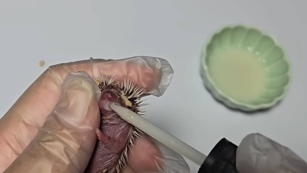 なんとかミルクを飲ませる
