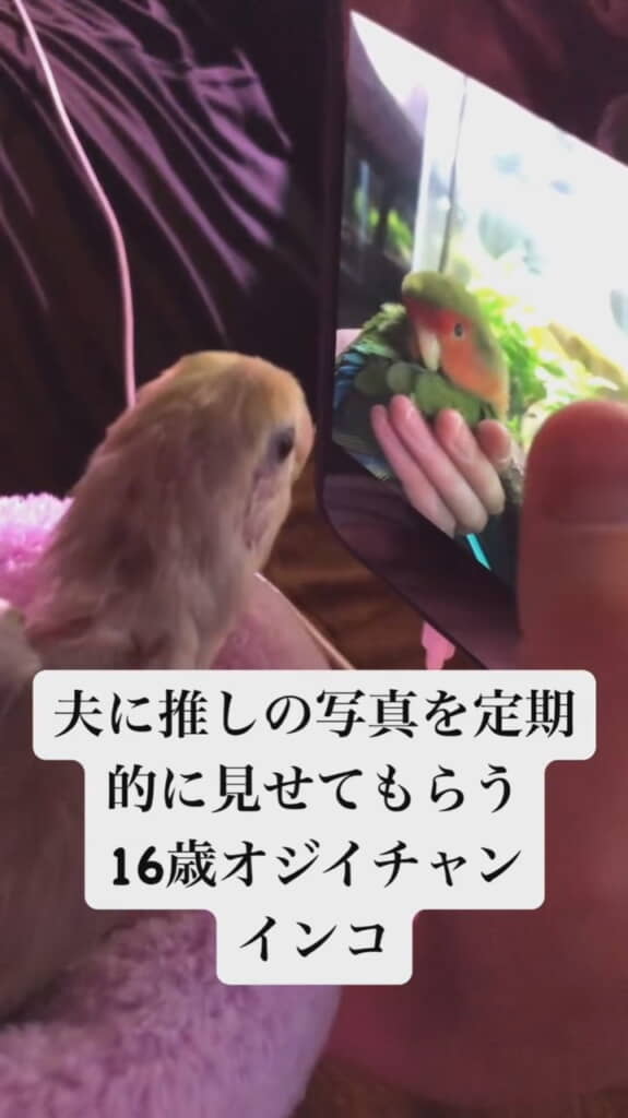 うめちゃんの姿を見るこめさん
