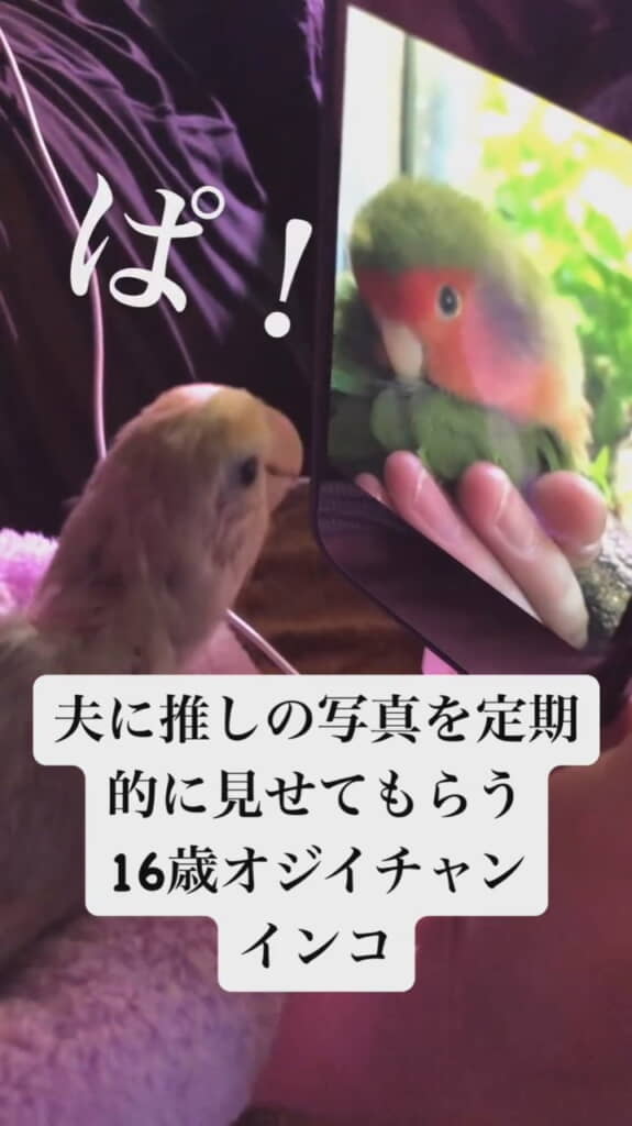 アップで大はしゃぎ！