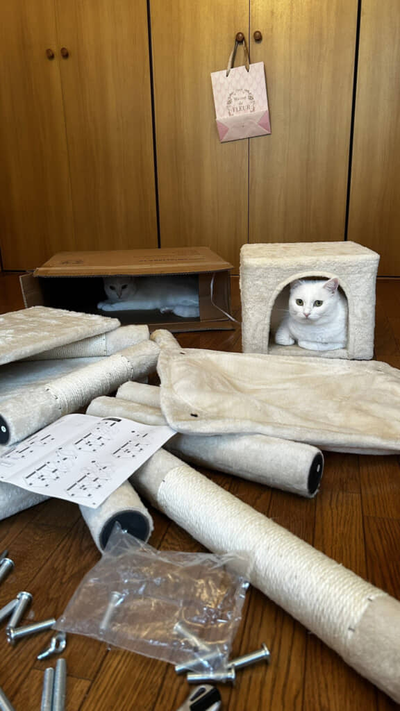 さっそく使ってくれてる……！