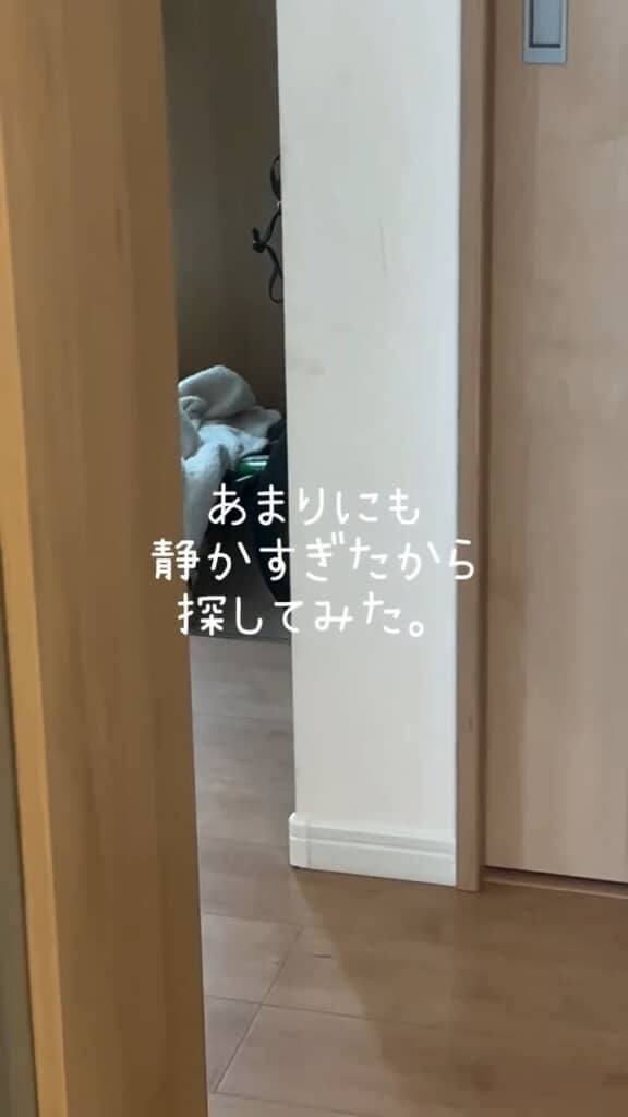 静かすぎるときはなんかある！　そんな予感が悪い意味で的中